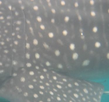 964c978a-15db-444a-ae2e-d0f36ef119c3