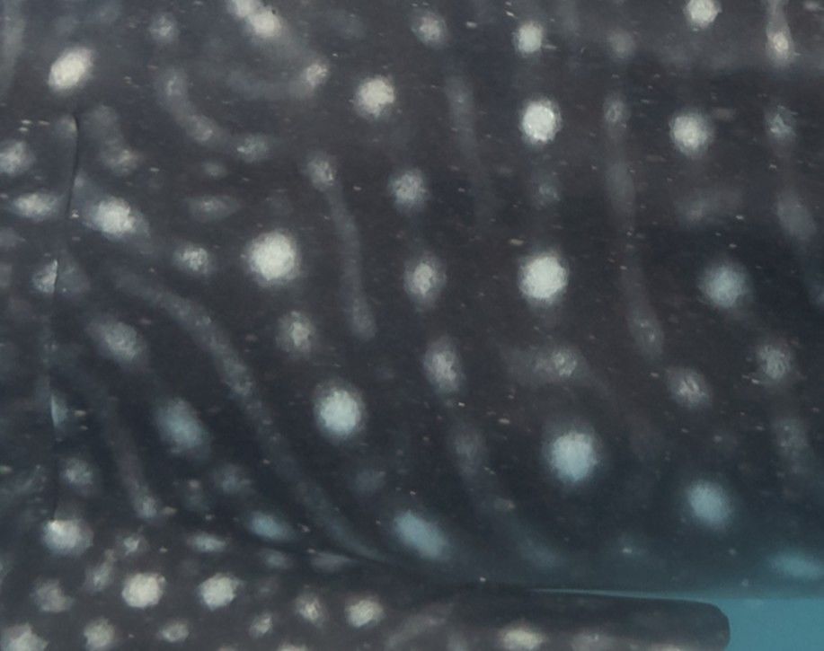 fa8ed92f-6388-4f41-8e89-47da487c6522