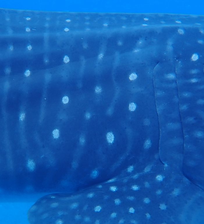 a7f978b8-180b-4233-b825-979de880cd26