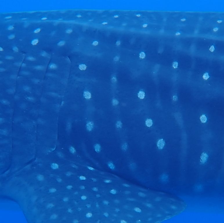 a7f978b8-180b-4233-b825-979de880cd26