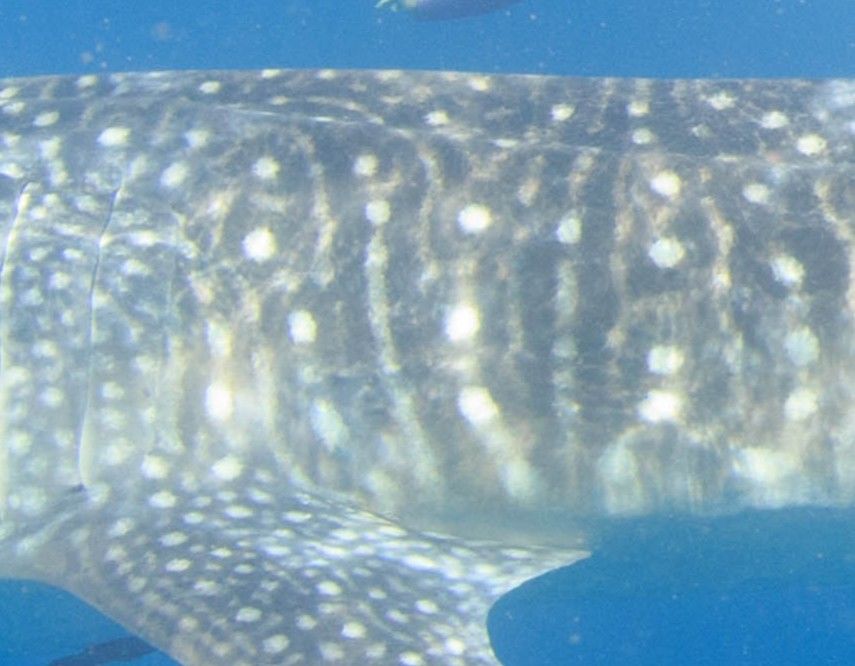 54977bdc-da31-4255-a46e-3c44214617a4