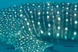 54d5bf11-2b6c-46c0-a357-8229cfc34bcd