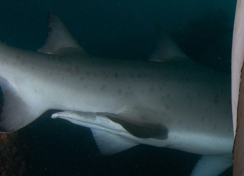 f8dc9b73-a743-427c-a5b3-86ffe79da5ec