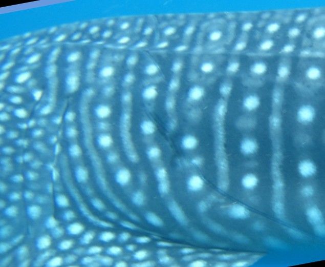 63bf748a-8e44-41f2-b613-0a754f72f684