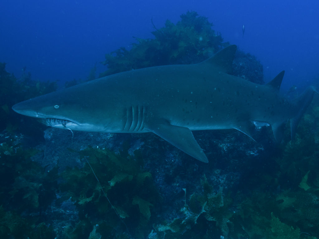 0c546326-7659-48e6-b8fa-5e0d3eb7b452