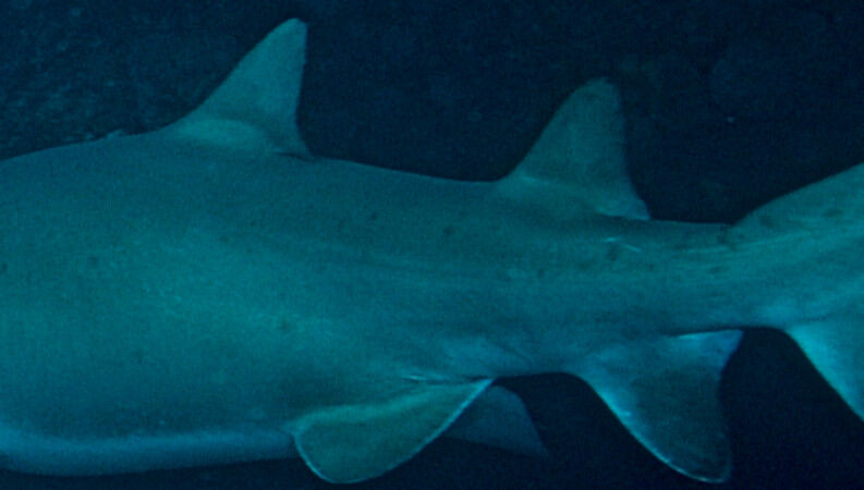 d59777b4-9399-4696-9fce-57b28639b76e