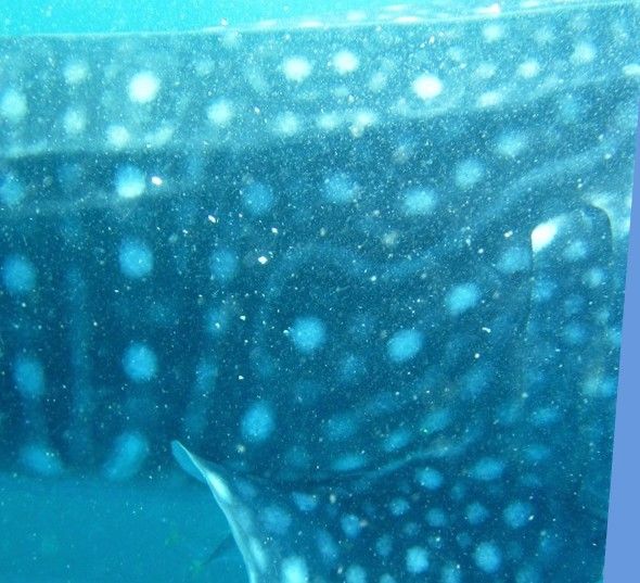 cbb666d4-2f3c-4d58-b84f-b15c852139c3