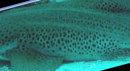 948ad662-a9d3-4ab3-9bd5-47ac18820a45