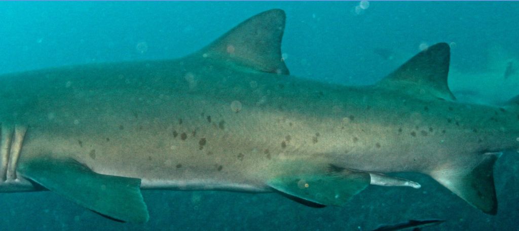 b85d7c32-13bd-46b9-92e2-17f0161e1549