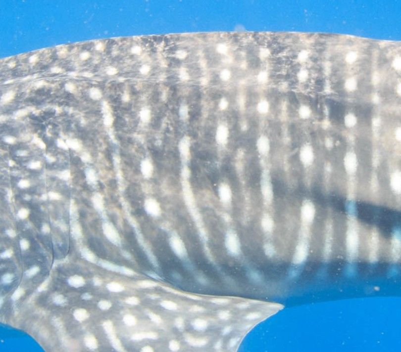 593a0a0e-d11c-481b-8914-b1169ead010c