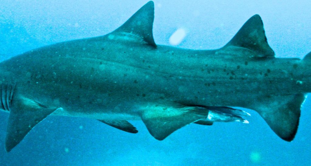 e3dacfac-9ff9-4100-8320-4a5bdb790ae6