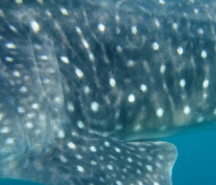 d273c4ca-c539-46fa-ad02-61af54aa3a71