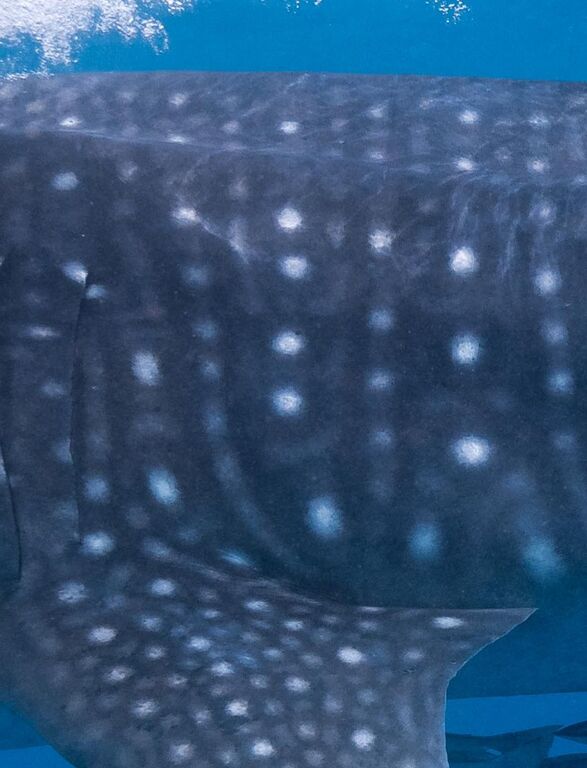 2fd1a807-2a2d-4911-aa66-ac3e27d8f379