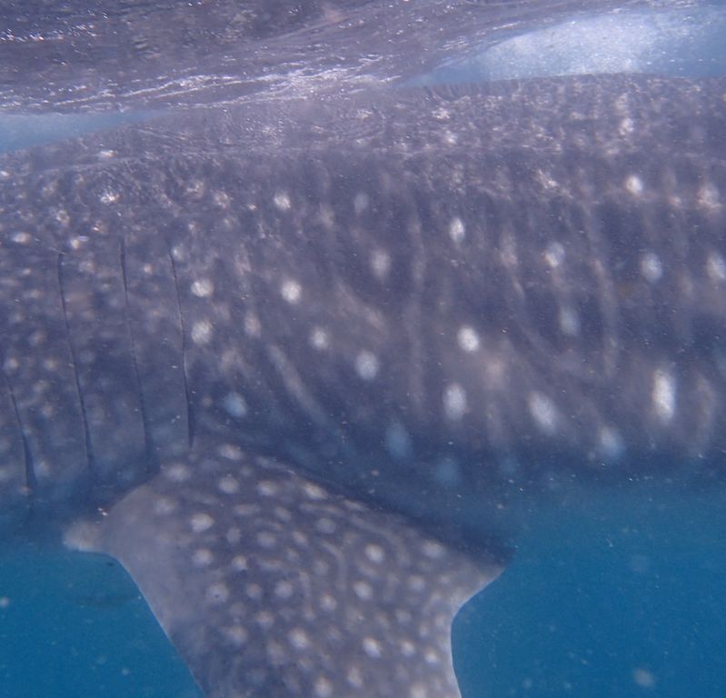 e64442aa-1c6f-4212-8724-9d52676e0119