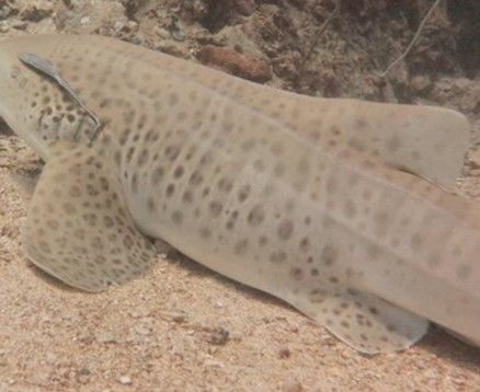 bd523bac-5c72-465d-adb9-7aca88af0728