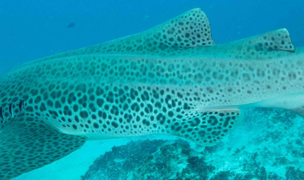 9b0448e1-74f9-42b9-9ca0-d39cbeb00cc9