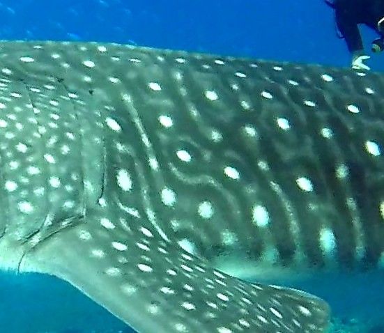 2d2f2fda-a71d-49ee-9c07-ed86159065b9