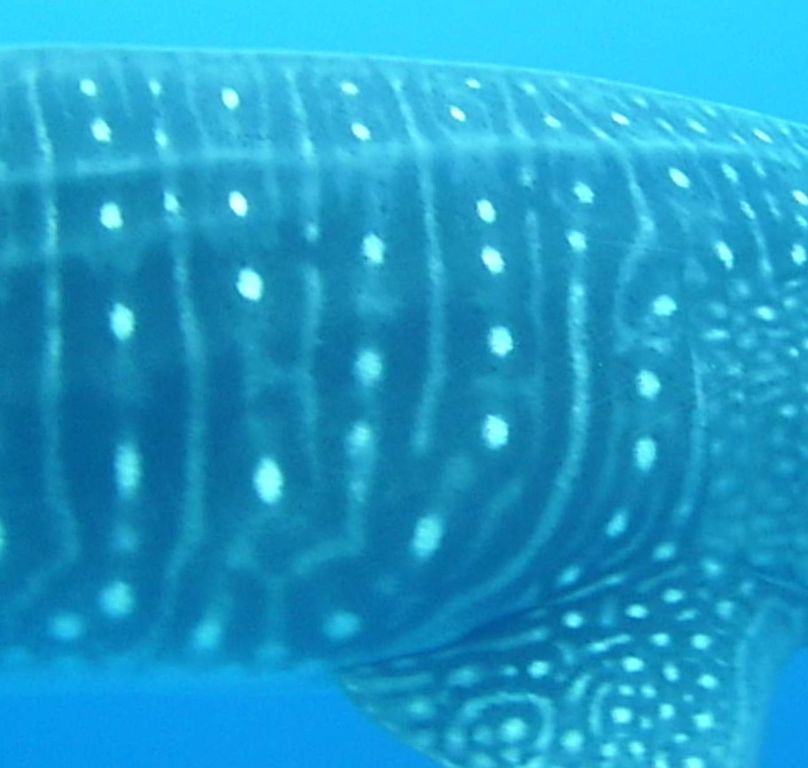 4f5a86e8-b73d-41c0-a706-8f90f04c4922