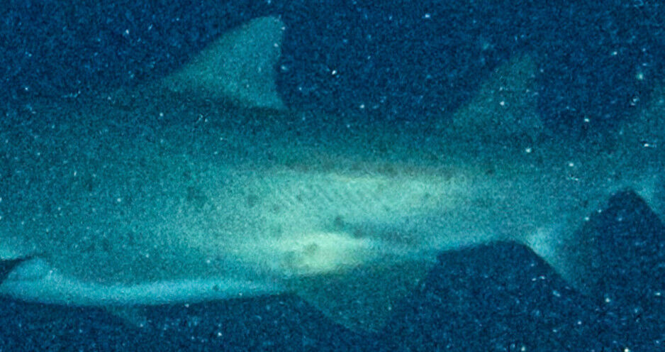 42a46449-19cc-40bf-9c3f-f5c141ac912c