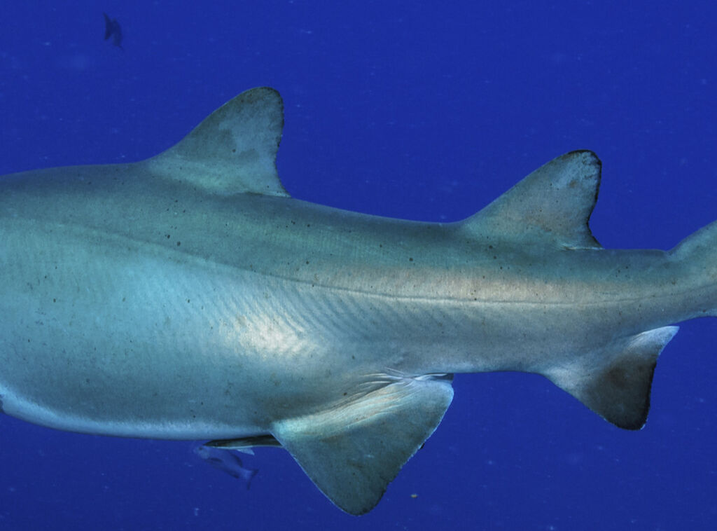 582d1773-2649-4879-ab6a-1ab7f0002575