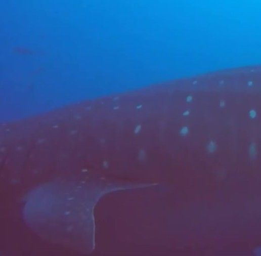 93ac369d-e32d-47a4-ad38-8a31abea09df