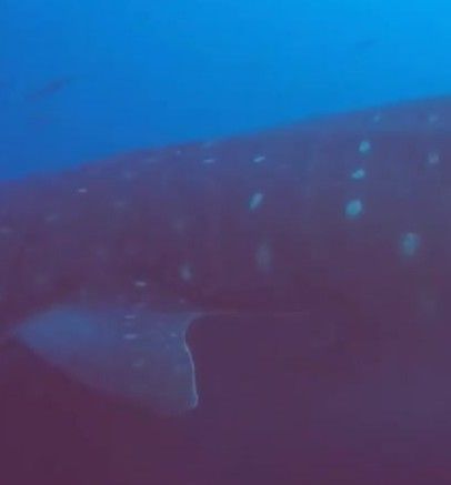 93ac369d-e32d-47a4-ad38-8a31abea09df