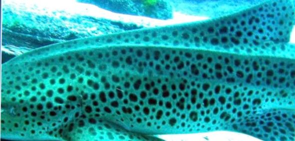 96d63e6e-2b59-442a-be84-7ebbc7c31257