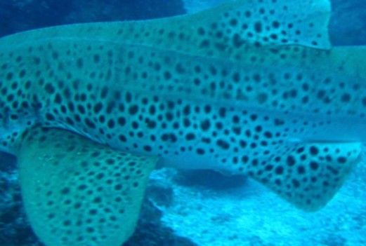 2eab0028-beb7-41a6-98ce-635fb316e65c