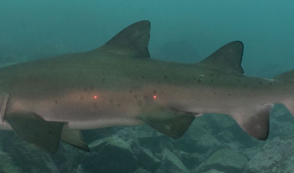 1645b24b-a54e-4ff0-b053-2cc3f0d0205d