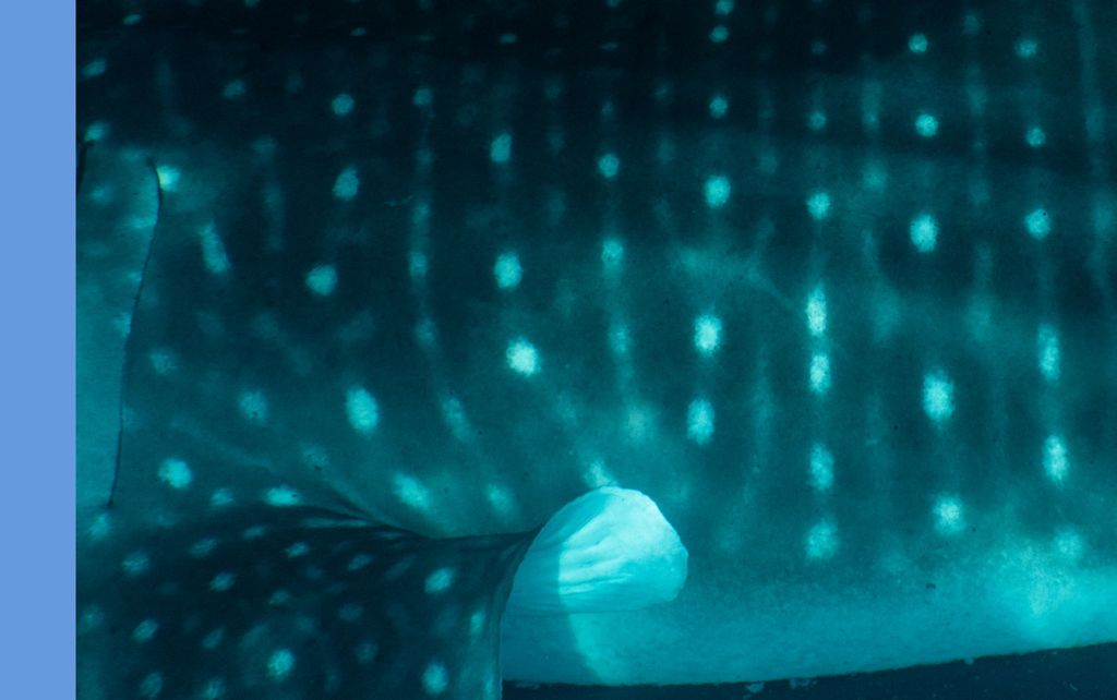 baadcf73-d8ee-492d-a8fc-f875ce42a1c8