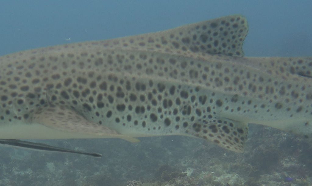 7a52b744-4df5-4e00-8d8f-352f05234c7b