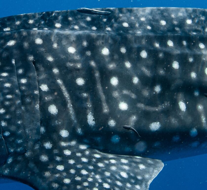 f1202ed9-f933-4de1-8bbe-769493bedf86