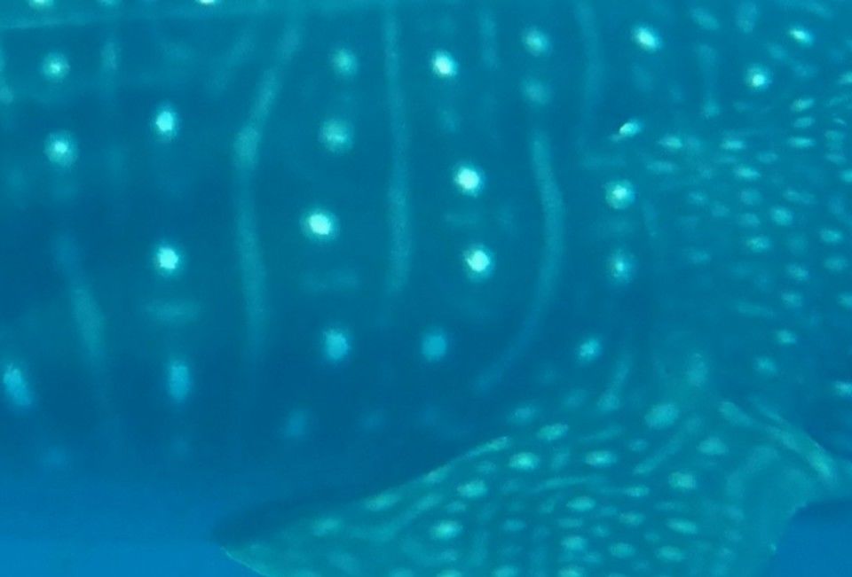 8d2a3494-ac21-485d-9570-bee3d424edd4