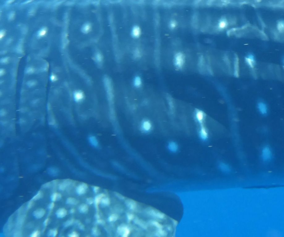 8d2a3494-ac21-485d-9570-bee3d424edd4