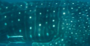 57c42c00-6d05-429a-9072-951df607acc1