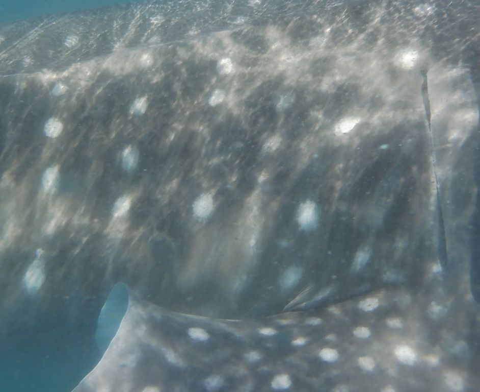 b898b334-ef30-4776-9e1c-a79d186c9a38