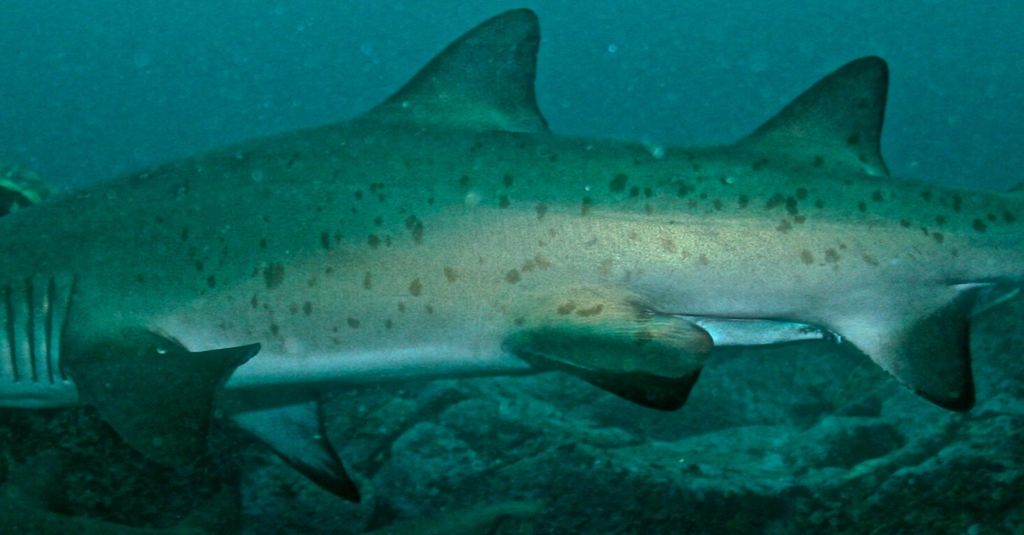 b96d567b-a404-47b5-8186-9cd6ef01ca3a