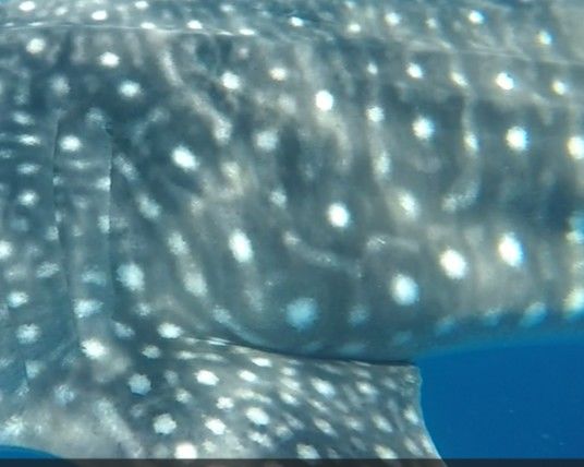 b6b8e562-9b22-47ad-9c68-ebb89b41981a