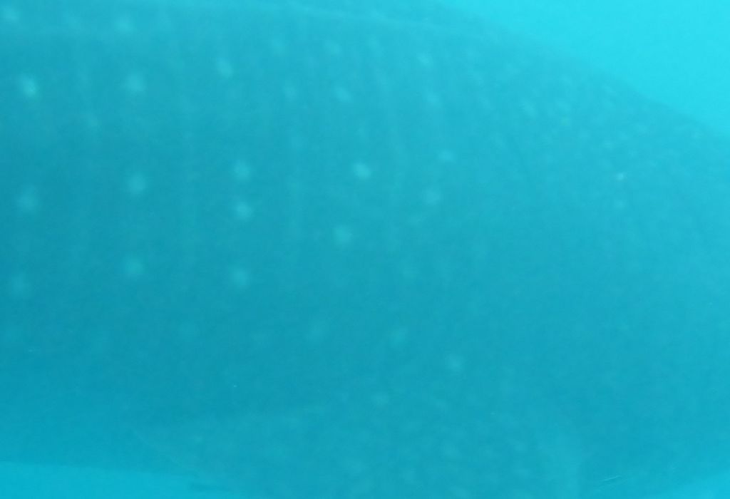 c8dfcb7b-0ecd-443c-b388-b65d7e7d734f