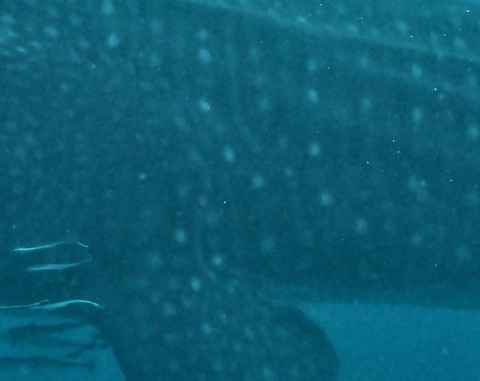 c8dfcb7b-0ecd-443c-b388-b65d7e7d734f