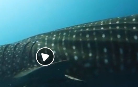 9cf4ed2e-18fc-4760-b0b9-2a897aa048b0