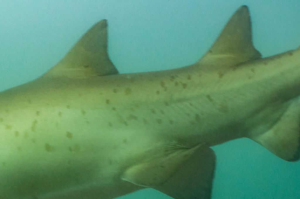 d7cbad2d-7149-47c9-a31a-9c56c9736afd