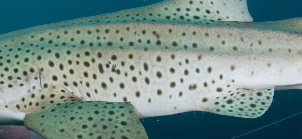 bce01013-d618-43ae-9ef9-435ea52016bb