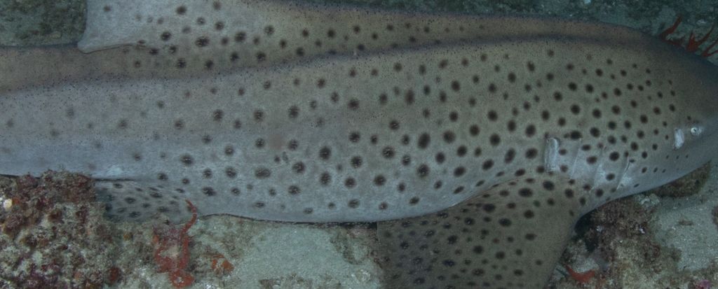 bce01013-d618-43ae-9ef9-435ea52016bb