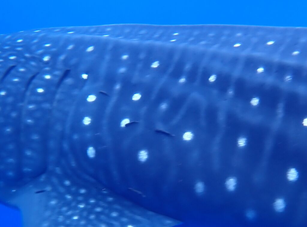 2c5f497a-eb27-4ed9-a1db-bfcc6044be9d