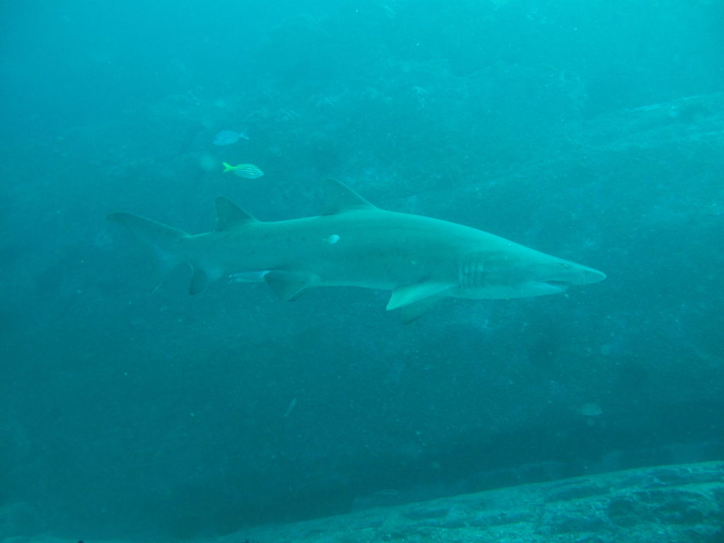 cdeb374d-7294-4c38-ba2e-50d494e60b1f