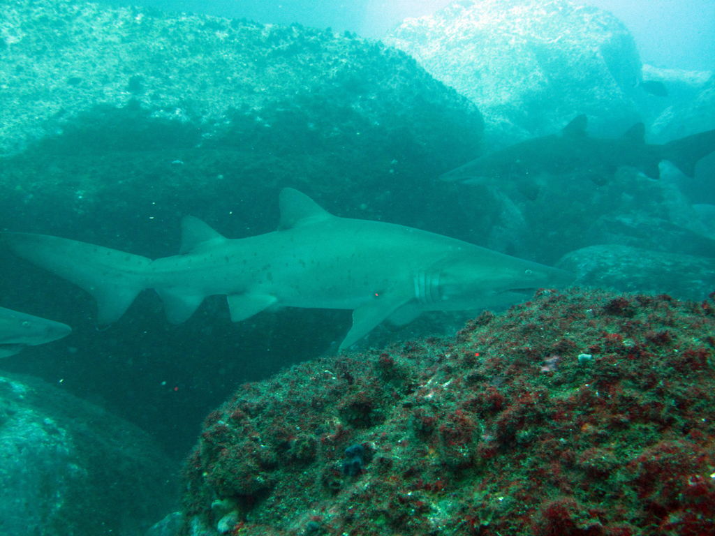 36b32498-8bb1-4dca-b229-1cb523215a34