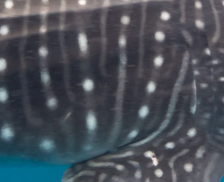 408b8d58-e9cc-48f3-beed-703608d72280