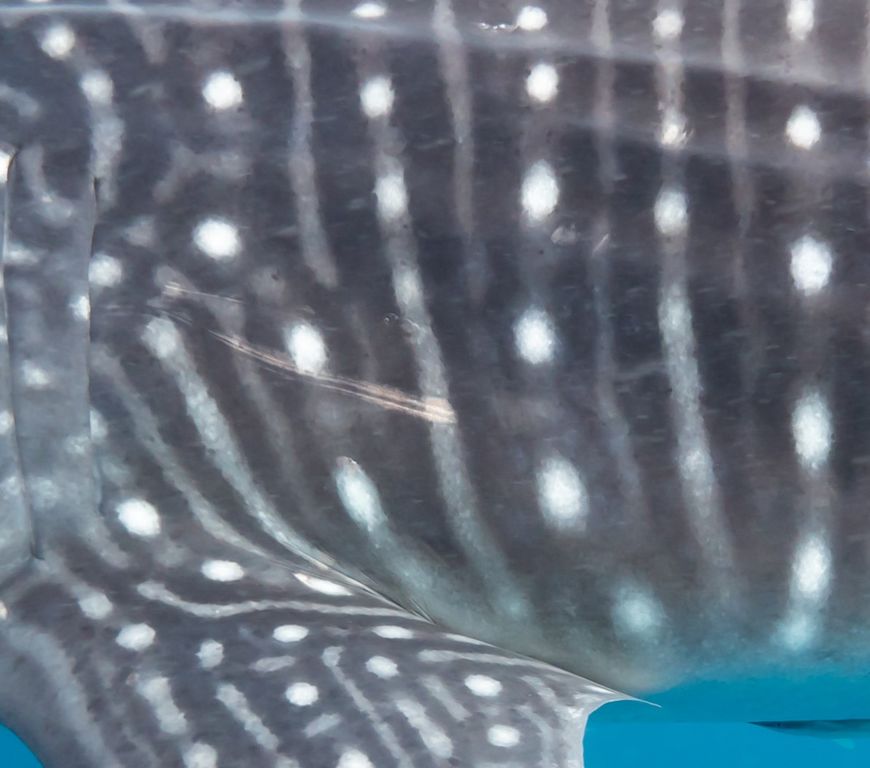 408b8d58-e9cc-48f3-beed-703608d72280