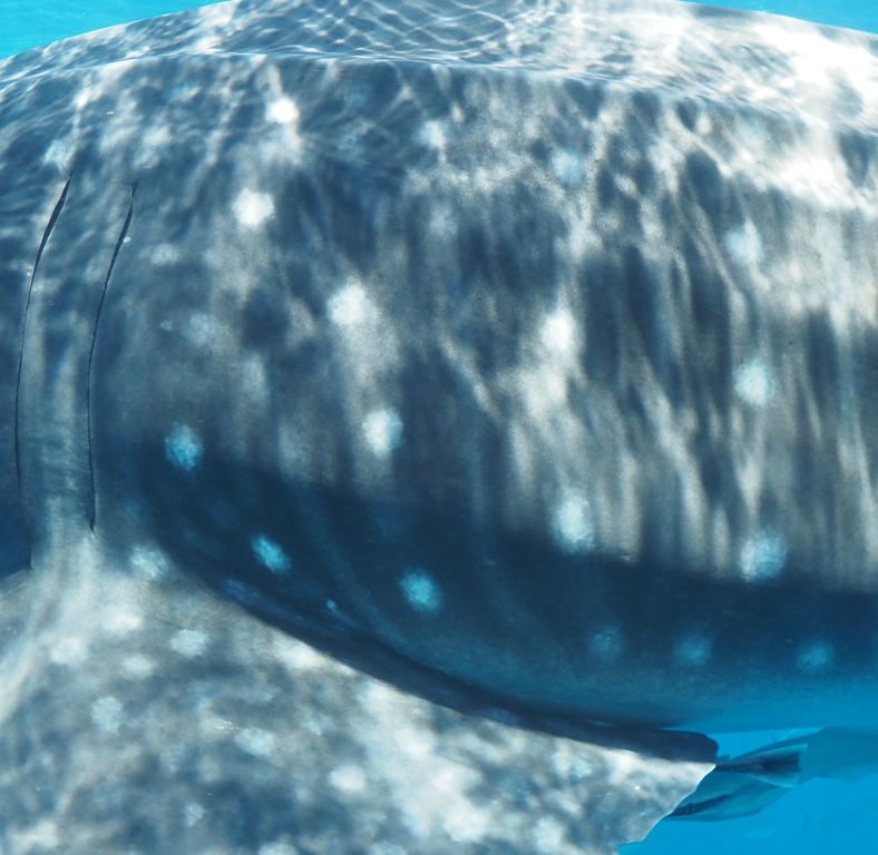 85b19292-963a-492b-b98f-4c3e3000be18